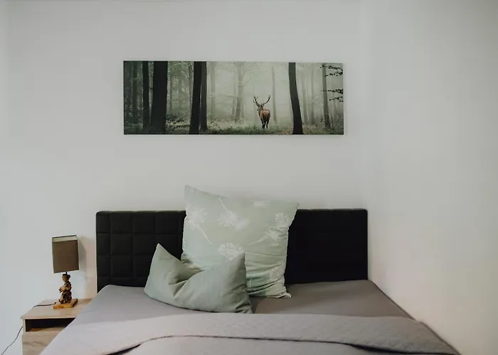 Appartement Stadt Land Fluss Boutique By Zollhaus 3*